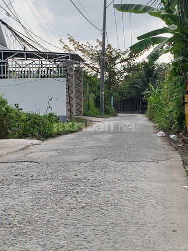 Cần Bán nền Ấp 4,Phường Đạo Thạnh,Đồng Tháp.Cách đường 92B tầm 200m