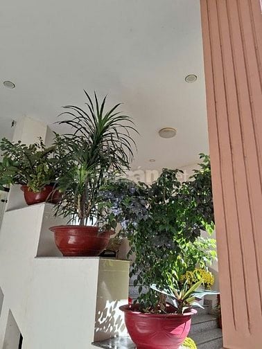 Cho Thuê Phòng tại 494/1/21 Lê Quang Định, phường Hạnh Thông, TP HCM
