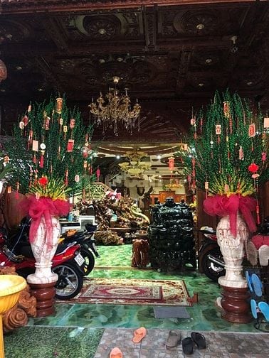 Bán Biệt Thự Sân Vườn Đg Lương Văn Can P15, Q8. DT 8 x 29m, nở hậu
