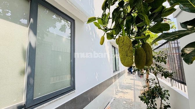 🏡🌿 BIỆT THỰ MINI 2 LẦU – SÂN VƯỜN CÂY TRÁI – 1 SẸC TRẦN VĂN MƯỜI