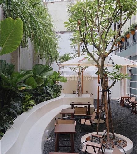 Bán nhanh Biệt thự Mặt tiền 50 Ngô Bệ , p13 cũ, 440m2 sàn, giá 63tỷ