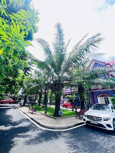Biệt thự khu biệt lập, 357a/3 Nguyễn Trọng Tuyển, DT 9x15m - 4 tầng