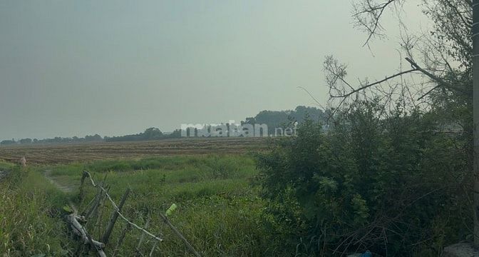 BÁN ĐẤT MẶT TIỀN QUỐC LỘ 22 HUYỆN BẾN CẦU TÂY NINH