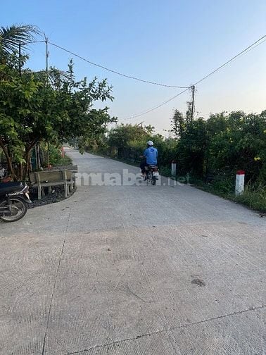 Cần bán lô đất thích hợp làm nhà vườn hoặc kho bãi 