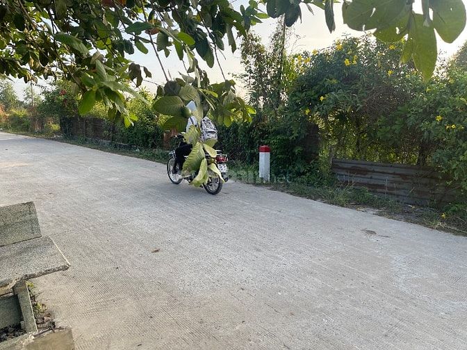 Cần bán lô đất thích hợp làm nhà vườn hoặc kho bãi 