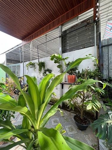 BÁN NHÀ 1 LẦU - CÓ SỔ HỒNG ĐSH