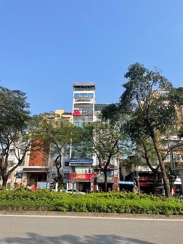  BÁN NHÀ BA ĐÌNH ĐỘI CẤN OTO VỈA HÈ 130m-8T 1 Hầm MT 8m KD tốt 99,9ty