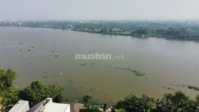 Bán căn hộ dịch vụ ven sông Thảo Điền - tài sản khan hiếm trung tâm