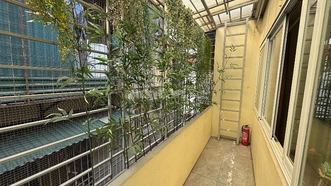 Căn Hộ Tập Thể Lê Thánh Tông Siêu Đẹp Ở Ngay 50m2 x 4.8 Tỷ.