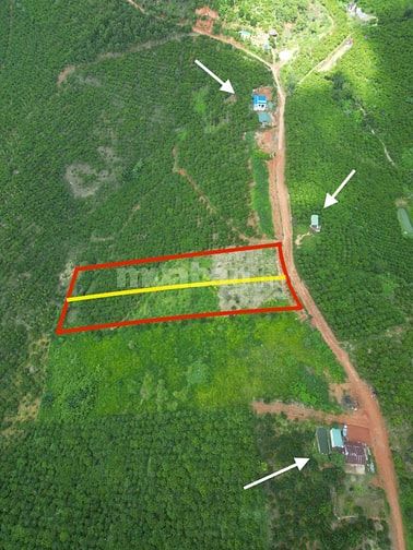 Đất 5000m2 đã tách 2 sổ, mặt tiền bê tông, dân cư đang ở 2 bên