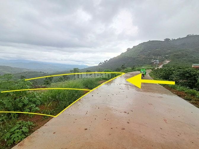 Đất 5000m2 đã tách 2 sổ, mặt tiền bê tông, dân cư đang ở 2 bên