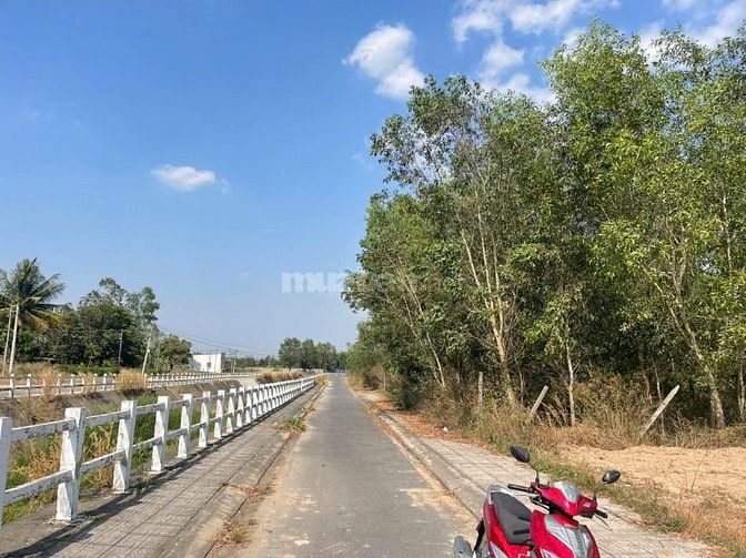 Bán Gấp Đất Đường Lê Hồng Phong Nhơn Trạch Giá Rẻ. 