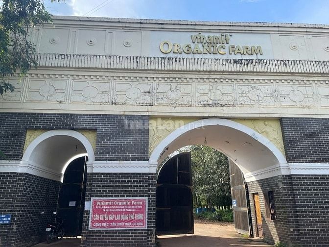 CHÍNH CHỦ GỬI BÁN 1500M² MẶT TIỀN ĐƯỜNG NHỰA  32M GẦN CHỢ, UBND KCN