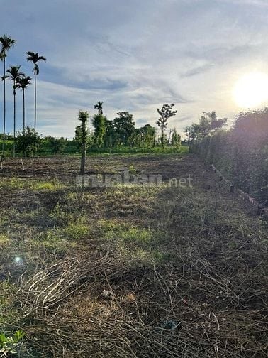 1163m2 đất chính chủ, Tân Hưng, phường Eakao