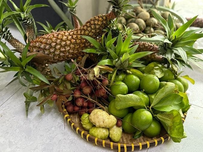 BÁN ĐẤT VƯỜN CHÍNH CHỦ DIỆN TÍCH LỚN – CÓ AO CÁ & VƯỜN CÂY ĂN TRÁI 