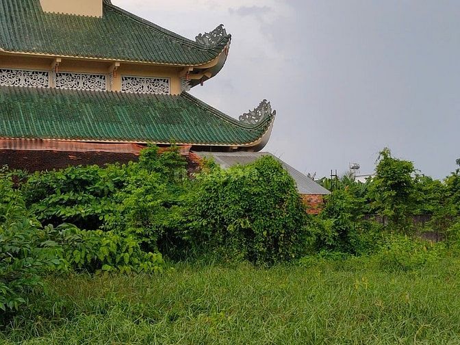 1604 M2 CÓ 200 M THỔ CƯ , ĐẤT SÁT CHÙA TÙY HỶ (HÓC MÔN)