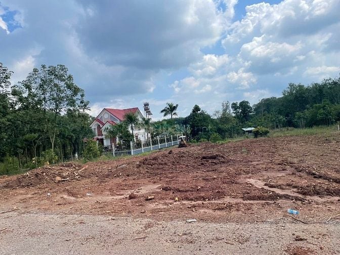 CHỦ GỬI 1,6 HA ĐẤT VƯỜN CÓ SẴN CÂY ĂN TRÁI TRÊN ĐẤT GẦN KCN TRƯỜNG HỌC