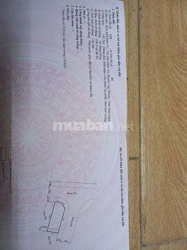 Đất 2 mặt tiền lớn TT DIÊU TRÌ, sát đường TRÀN BÁ,gần khu ĐT XANH DTrì