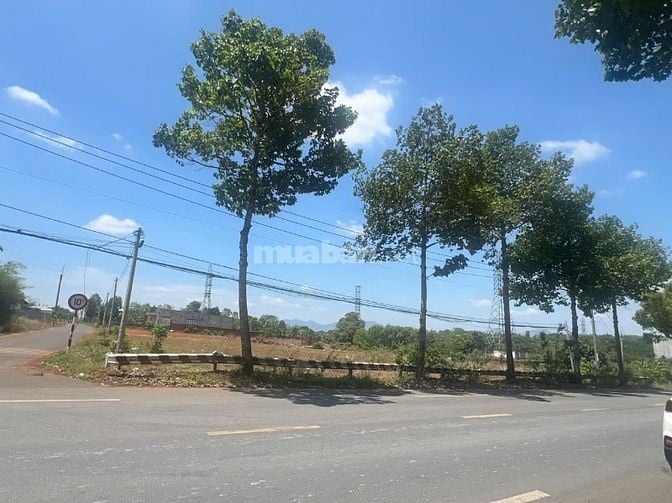 Bán Đất Lô Góc MT Đường Lê Hồng Phong, Thị Trấn Ngãi Giao, Châu Đức