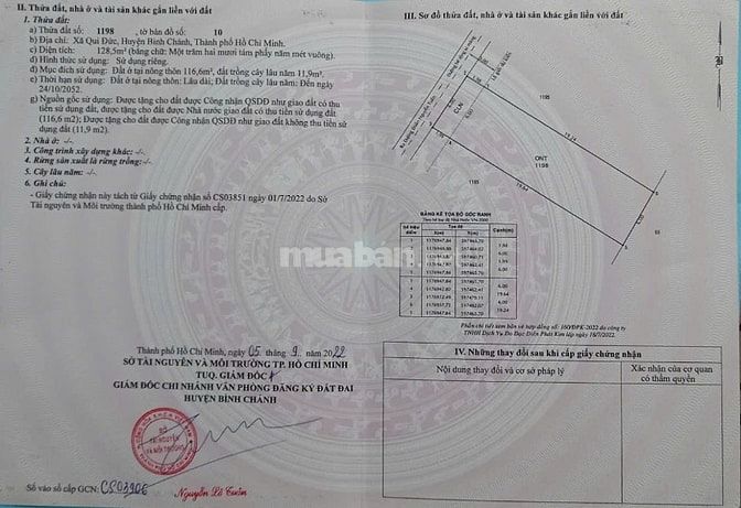 CẦN BÁN 9 LÔ ĐẤT THỔ CƯ BÌNH HƯNG, QUY ĐỨC , ĐA PHƯỚC .
