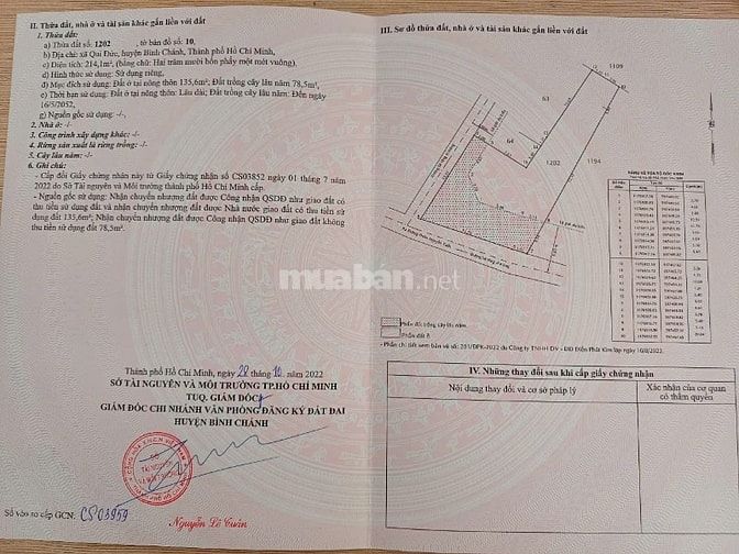CẦN BÁN 9 LÔ ĐẤT THỔ CƯ BÌNH HƯNG, QUY ĐỨC , ĐA PHƯỚC .