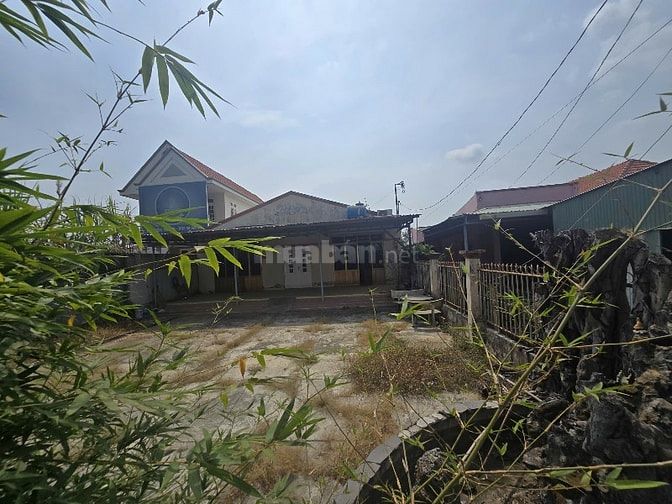 Bán đất mặt tiền duyên hải cần giờ 
