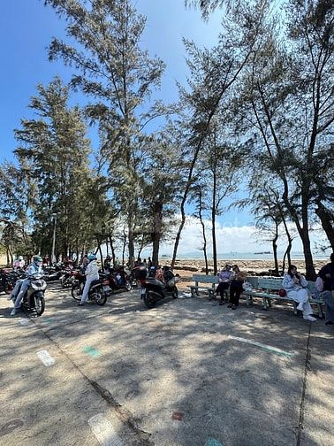 Bán đất mặt tiền duyên hải cần giờ 