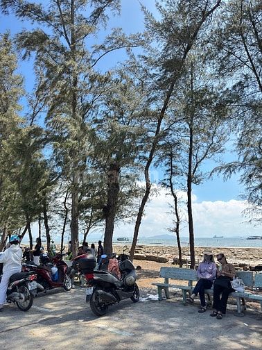 Bán đất mặt tiền duyên hải cần giờ 