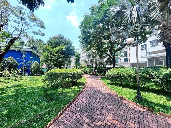 CC 52 P5 Q8 2PN 49m2  sd thang máy, ngay TTHC Q8 SHR tặng nội thất