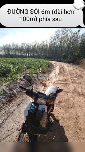 [Giấy ĐỎ mới 08/2026]Bán ĐẤT CAO SU 2MT, 4m& 6m, kế KCN Chà Là,rào B40