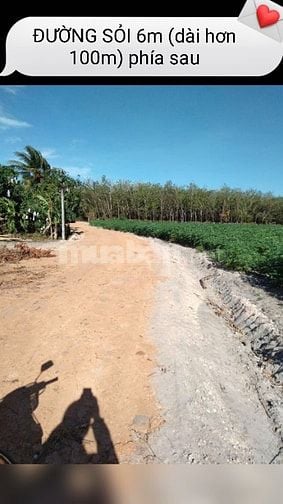 Bán ĐẤT CAO SU 2MT, đường 4m& 6m, kế KCN Chà Là, rào B40, 1,8 tỷ/ha