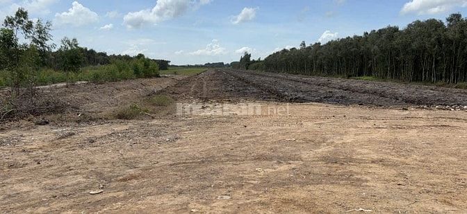 🌿 CHÍNH CHỦ GỬI BÁN ĐẤT MẶT TIỀN QL62 🌿 📐 Diện tích: 26.000m²