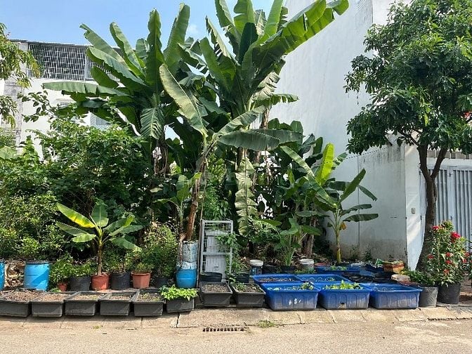 Bán gấp nền nhà phố dự án Nam Long giá tốt nhất