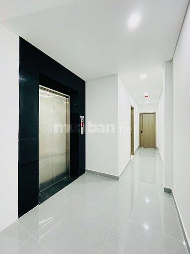 Bán nhà CHDV 14 phòng (5x20) 317/24 Thống Nhất p11 Gò Vấp (THANG MÁY)