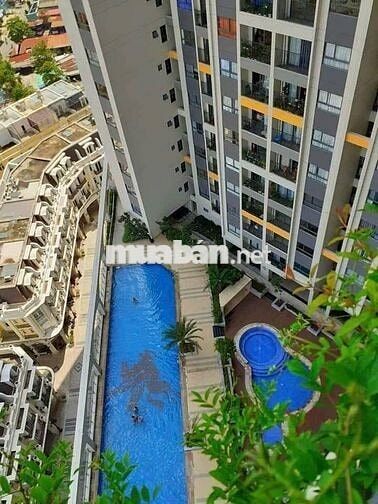 Bán căn hộ Pegasuite -1002 Tạ Quang Bửu Quận 8- Sổ hồng riêng- Full NT