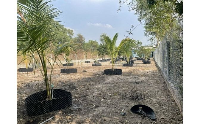 Chính chủ gửi bán đất vườn xã Nhuận Đức MT nhựa 538 thông giá 790TR