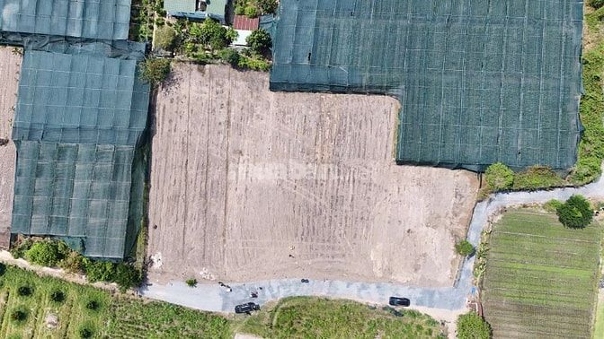 🏯 Chỉ từ 790tr/lô (290m²) SỞ HỮU ngay lô đất gần ngay trung tâm trảng