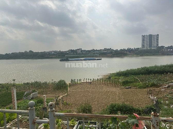 HÀNG HIẾM ĐẦU TƯ - ĐẤT TRỤC CHÍNH PHÚC THỌ MAI LÂM - Ô TÔ TRÁNH 
