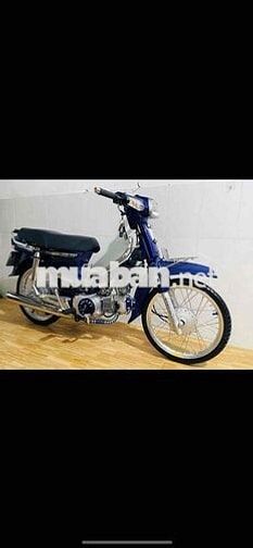 Honda Super Dream Xanh 110cc