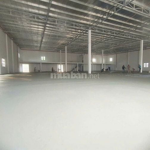 CHO THUÊ KHO XƯỞNG NGAY NGÃ TƯ GÒ MÂY – 3.500m² –