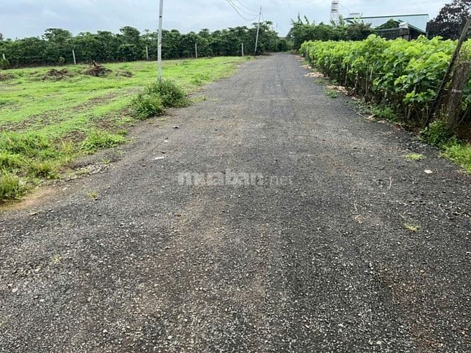 Bán 1000m2 đất view hồ mai thành 3.2 tỷ