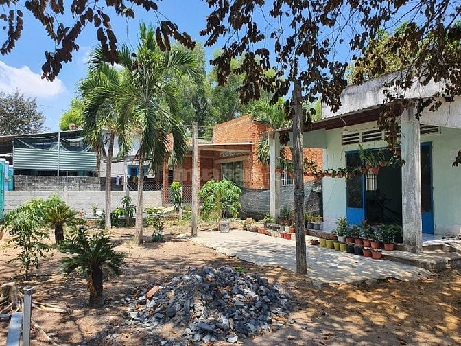 Nhà vườn đường Nguyễn Thị Chì, xã An Nhơn Tây, Củ Chi, 1189m2, 6 tỷ