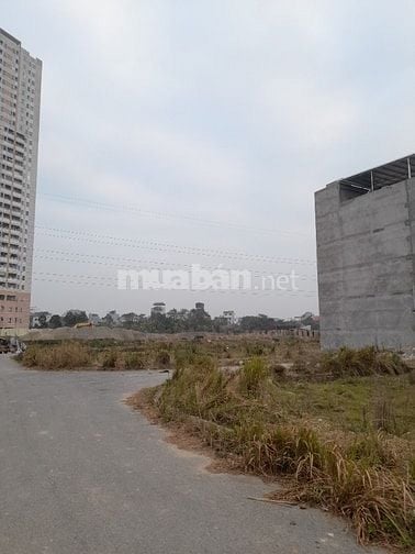 Chính chủ cần bán lô đất dv khu 3,74ha di trạch, 80m2. Mặt tiền 7,12m