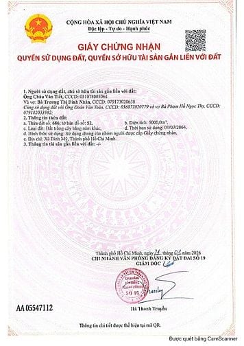 Bán 4 lô đất liền kề Võ Văn Bích, xã Bình Mỹ, Củ Chi, giá 5,2tr/m2