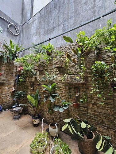 Mặt Tiền 47b Ca Văn Thỉnh,460m2 sàn, thang máy lớn, ốp gỗ xịn, 23tỷ920