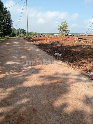 CHÍNH CHỦ CẦN BÁN (1 MẪU 6) 16.000M2 ĐẤT TRỒNG CÂY SẦU RIÊNG