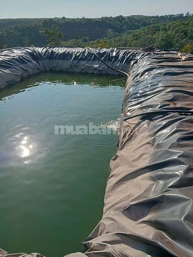 CHÍNH CHỦ CẦN BÁN (1 MẪU 6) 16.000M2 ĐẤT TRỒNG CÂY SẦU RIÊNG