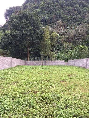 Bán 450m mặt tiền 12m mặt đường Tiên Hội - Cao Dương - Lương Sơn - HB