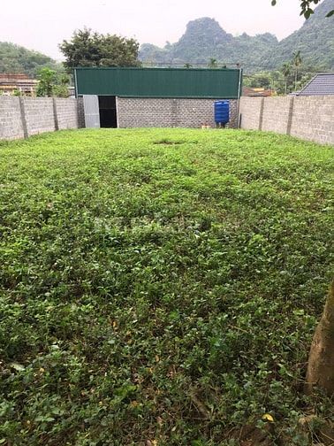 Bán 450m mặt tiền 12m mặt đường Tiên Hội - Cao Dương - Lương Sơn - HB