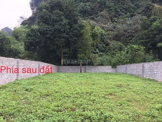 Bán 450m mặt tiền 12m mặt đường Tiên Hội - Cao Dương - Lương Sơn - HB